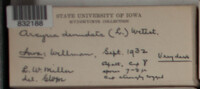 Image Associated With the Occurence